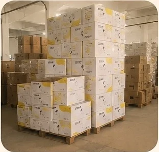 product-312-299 product-312-299